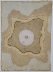 CENTRAL ENERGY (16) – Plant-Dyed Botanical Art on Cotton Canvas