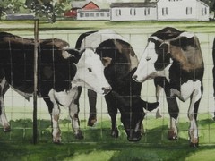 Astrid Sheckels Massachusetts Artist Illustrator Hatfield Cows Farm WC Painting