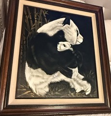 Vintage Panda and Cub Canvas Painting Original Certificate Framed