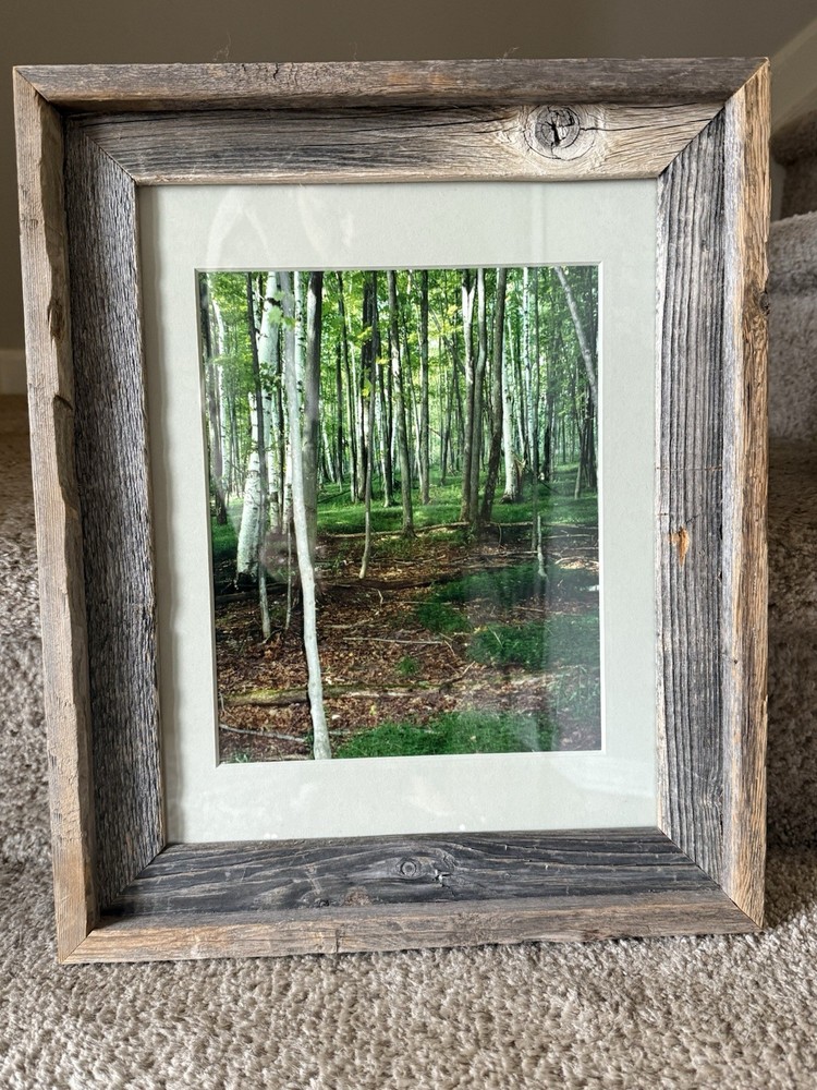 VTG Wood Frame Brown/Green Tones Forest White Birch Tree Picture/Rustic Woods