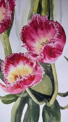 Pink Tulips Floral Watercolor Painting Flowers in Vase Romantic Botanical Art