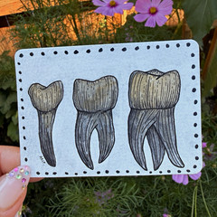 ACEO, Original Teeth Illustration, Ink on Paper, Unframed, 2.5 X 3.5
