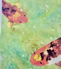 Arcrylic painting, -Framed signed Rosemary Ade- three Koi in a pond.