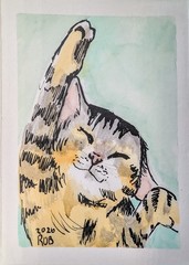 Aceo Custom Pet Portrait Watercolor And Ink 2.5×3.5 Inch Dog Cat Painting