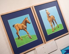 Vintage Paint by Number „Proud Young Colt“ Framed Set of 2 1976 Craft Master