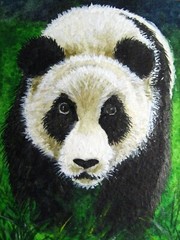Painting Panda Black and White Bear Green Grass Nature ACEO Art