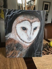 Original acrylic painting barn owl on canvas 16x20x0.5 in, wall art