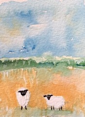 ACEO Original By Kenna Painting 2 Sheep 2.5” X 3.5” Signed ÀTC