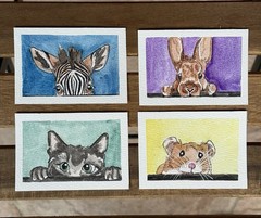 Original Zebra Blue ACEO Watercolor Painting Curious Critters Series Elbeeart