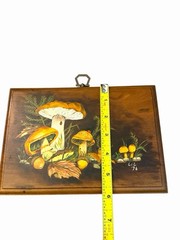 Vtg 1976 Mushroom Tole Painting Hand-Painted Wood Wall Decor Acorns Lady Bugs