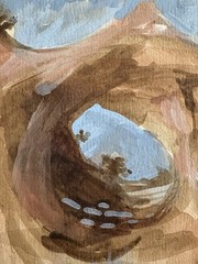 Navajo Painting Anderson Benally Signed Original Window Rock Az Gouache 7×10”