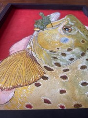 Brown Trout Original Mixed Media 11x14in Painting Fly Fishing & Trout Fishing