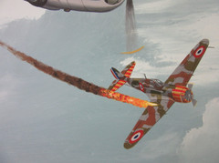Raymond Waddey Painting F4F Wildcat WWII Combat Pilot Signed W.W. Taylor 18″x24″
