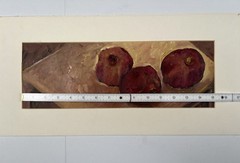 Still Life Oil Painting of Three Pomegranates on Table – Matted Study 10×19”