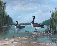 D EDGAR NEW MEXICO ARTIST ORIGINAL BOSQUE DEL APACHE OIL PAINTING 16″ X 20″