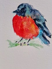 Christmas Robin Bird art Original Watercolor painting 5×4.5″Bird Lover Best Gift