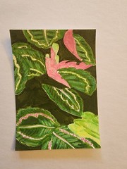 ACEO Original Abstract Acrylic Painting of a Leafy House Plant by Kiva
