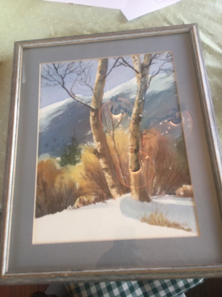 Original watercolor painting – OLD COTTONWOOD BY STRANGE -16 X 13 INCHES