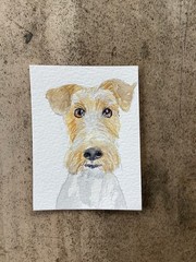 ACEO By Kenna Original Painting Jack Russell Dog 2.5” X 3.5” Signed ÀTC
