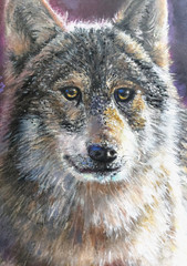 LOVELESS – „IN HIS EYES“ oil on board 12 X 9 Art Impressionism