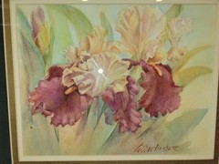 Framed Watercolor Iris Flower Painting Signed W. Winchester 14×16