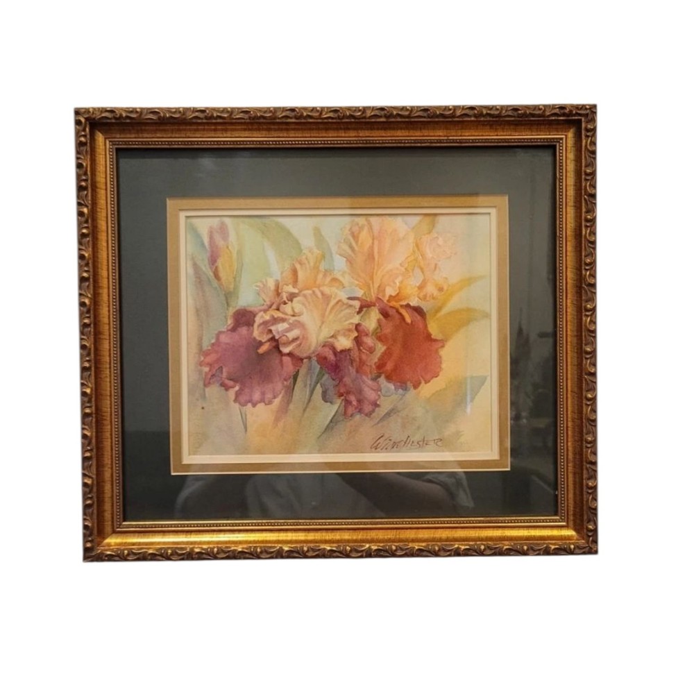 Framed Watercolor Iris Flower Painting Signed W. Winchester 14×16