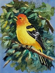 YARY DLUHOS Bird Wildlife Nature Oriole Original Art Oil Painting
