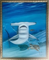 Hammerhead Shark And Sea Turtle Underwater Oil Painting In Canvas 24”x30” Framed