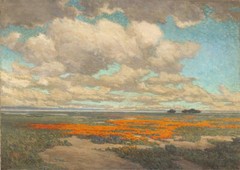 stunning oil painting handpainted on canvas-A Field of California Poppies