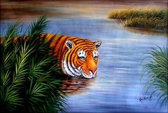 Stretched, Tiger in Water II, Quality Hand Painted Oil Painting 24x36in