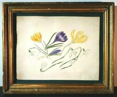 ANTIQUE BOTANICALS LOT of 3 HAND COLORED? ORIGINAL LITHOGRAPHS GOLD FRAMED