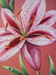 ACEO Original Stargazer Lily Flower Botanical Nature Art Painting