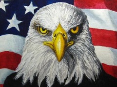 Watercolor Painting Bald Eagle Bird American Flag Feathers ACEO Art ‚