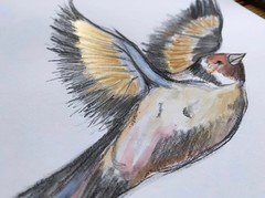 Original Watercolor Goldfinch Painting: Whimsical Bird Nature Art, 8×8 inches