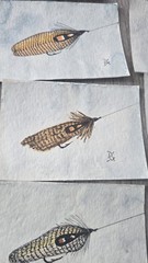 10 Original Watercolor Painting Fly Fishing Lures Small DAN GARMUS Art