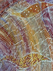 Jedda Purvis Kngwarreye. Authentic Aboriginal Art. Size 150cm x 100cm,Pencil Yam