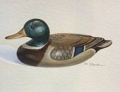 WATERCOLOR ON PAPER OF MALLARD DECOY SIGNED RON SAPORITO CT LYME ART ASSN ARTIST