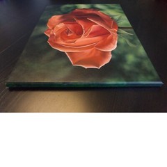 Rose Original Oil Painting, orange, realistic flower, classic, beautiful, love