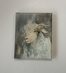 Painting Goat Sheep Original Watercolor Farm Animal Country Farmhouse