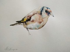 Goldfinch, Birds, Watercolor artwork, Handmade, Original painting on paper