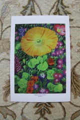 Art Poster, Poppy Flower Series 2, Signed, 13×19 inches, Print, Beautiful!