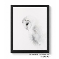 Set of 4 Framed Animal Art Eagle Horse Snow Leopard Owl Black White Glass