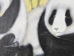 Karl J. Feng „Pandas“ bear original watercolor painting signed w card 25″ x 17″