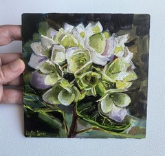 White hydrangea flower painting 6×6 in- oil on ampersand board