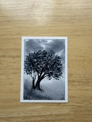ACEO Original Watercolor Painting Nature Abstract landscape tree 2.5 X 3.5