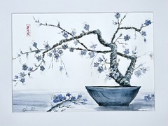 Original paintings Cherry Blossom bonsai oriental japanese chinese brush sumi-e