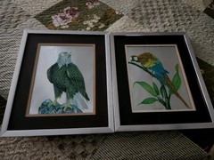 2 Tip Freeman Miami Florida Bird Paintings Metal Frames 11 1/4 X 9 1/2