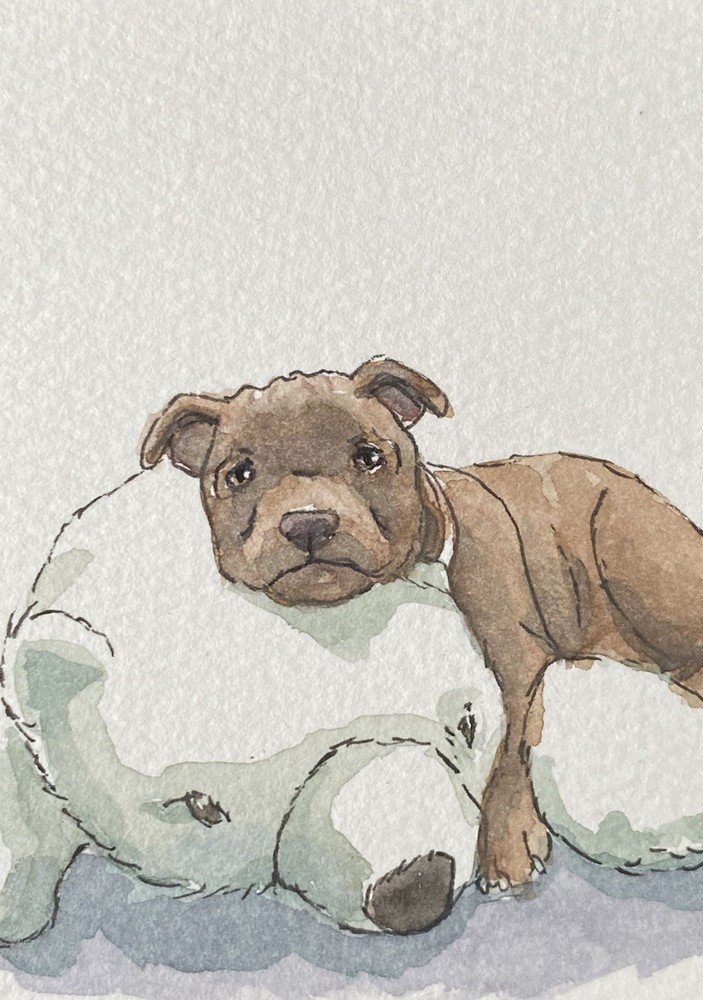 ACEO 100% Hand Painted Original Mixed Media Painting Art Dog Pitbull