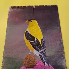 Original „Goldfinch on Coneflower“ Acrylic  Painting on 12.5″ x 5.5 „wood panel