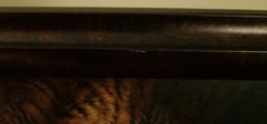 Original Tiger Painting, “Tiger, Tiger”, Acrylic on Canvas Panel, framed